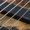 SCHECTER RIOT-5 Inferno Burst 5-струнная бас-гитара