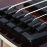 SCHECTER SLS ELITE-5 ANQFB 5-струнная бас-гитара