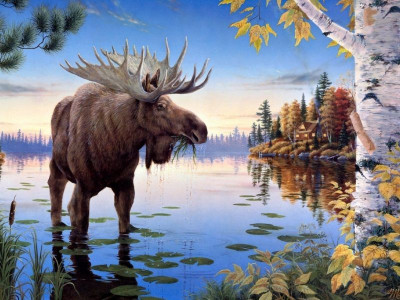 Картина по номерам с цветной схемой на холсте 30х40 Сохатый (20 цветов)