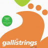 Струны для балалайки-прима GALLI STRINGS FG018 012 - .041w- .041w (A/E/E)