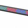 Светодиодная панель Behringer LED FLOODLIGHT BAR 240-8 RGB-R