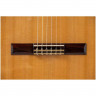 Классическая гитара 4/4 ALTAMIRA N200+