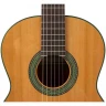 Классическая гитара 4/4 ALTAMIRA N200+