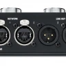 FOCUSRITE RedNet AM2 мониторный стерео модуль для аудио сети Dante