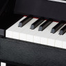 Celviano AP-470BK, фортепиано цифровое