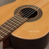 Perez 610 Cedar LTD 7/8 классическая гитара с чехлом