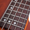 SCHECTER STILETTO STUDIO-5 HSN 5-струнная бас-гитара