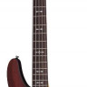 SCHECTER OMEN-5 WSN 5-струнная бас-гитара