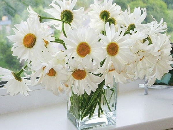 Картина по номерам 40х50 РОМАШКИ В ВАЗЕ (26 цветов)