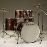 LUDWIG LCF52GO25 ударная установка (полная)