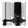 Набор для звукозаписи EVO 4 AUDIENT EVO START RECORDING BUNDLE