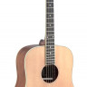 JAMES NELIGAN ASY-D акустическая гитара