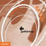 Комплект струн для акустической гитары GALLI STRINGS RA1047, 10-47