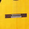 TAKAMINE GC5CE NAT классическая электроакустическая гитара