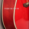 Flight AD-200/RD акустическая гитара