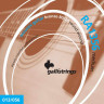 Комплект струн для акустической гитары GALLI STRINGS RA1356, Medium, 13-56