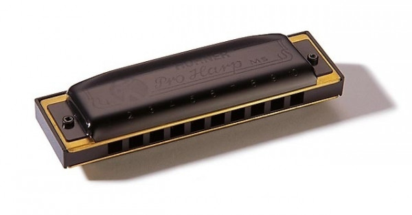 HOHNER M564056 Pro Harp MS E губная гармошка диатоническая, 10 отверстий, тональность МИ