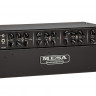 MESA BOOGIE Triple Crown TC-50 Rackmount Head ламповый усилитель-голова 50 Вт
