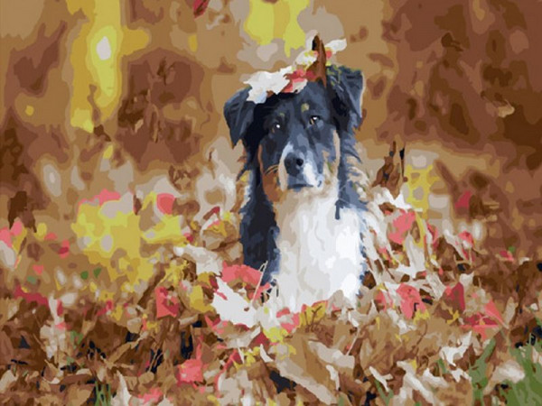 Картина по номерам 40х50 Запах осени (28 цветов)