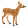 Фигурка Schleich Белохвостый олень-самка