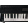 Пианино цифровое корпусное ARAMIUS APO-160 MBK