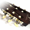 Virginia VC-07 4/4 классическая гитара