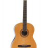 Virginia V-C17 4/4 классическая гитара