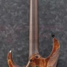 IBANEZ RGA60AL-ABL AXION LABEL RGA электрогитара