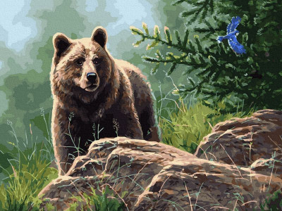 Картина по номерам с цветной схемой 40х50 СИБИРСКИЙ БУРЫЙ МЕДВЕДЬ (30 цветов)