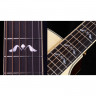 Crafter GW-ROSE /BRS электроакустическая гитара