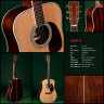 Sigma DMR-4 акустическая гитара