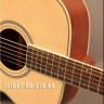 Flight AG-210 NA акустическая гитара