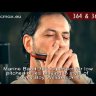 Hohner Marine Band 365-28 G губная гармошка диатоническая
