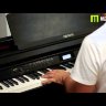 Casio Celviano AP-700BK цифровое пианино + подарок