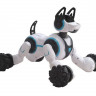 Робот собака-перевертыш SYRCAR 666-800A Stunt Dog с пультом в виде наручных часов
