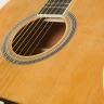 Virginia V-D40 акустическая гитара