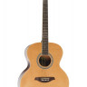 Virginia V-LJ40 Little Jumbo акустическая гитара