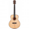 Гитара акустическая TOM GS-T1M