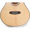 Гитара акустическая TOM GS-T1M