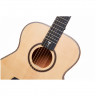 Гитара акустическая TOM GS-T1M