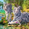Картина по номерам 30Х30 СЕМЕЙСТВО БЕЛЫХ ТИГРОВ (19 цветов)