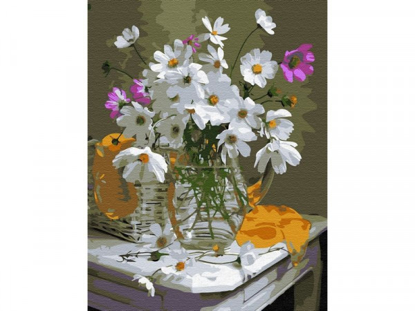 Картина по номерам с цветной схемой на холсте (30х40) КОСМЕЯ (20 цветов)