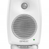 Монитор ближнего поля Genelec 8020DWM активный 2-полосный