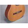 Гитара классическая 4/4 ALTAMIRA Basico+