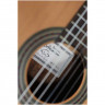 Гитара классическая 4/4 ALTAMIRA Basico+