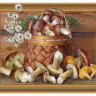 Алмазная мозаика 3D с нанесенной рамкой 40х50 БУЗИН. НАТЮРМОРТ С ГРИБАМИ ( 30 цветов)