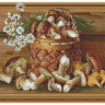 Алмазная мозаика 3D с нанесенной рамкой 40х50 БУЗИН. НАТЮРМОРТ С ГРИБАМИ ( 30 цветов)