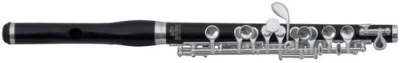 Флейта-пиколло ROY BENSON PC-602 Piccolo