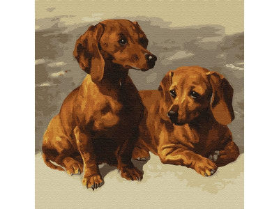 Картина по номерам 30х30 Таксы (18 цветов)