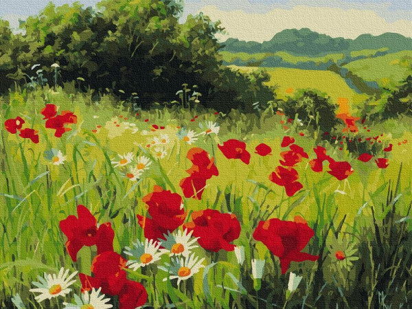 Картина по номерам 40х50 ЛУГОВЫЕ ЦВЕТЫ (26 цветов)